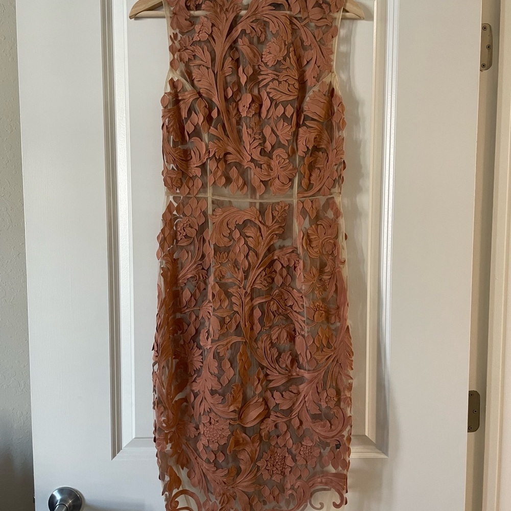 Pankaj & Nidhi Anthropologie Gorgeous Sheer Lace Dress | Small - Picture 3 of 5